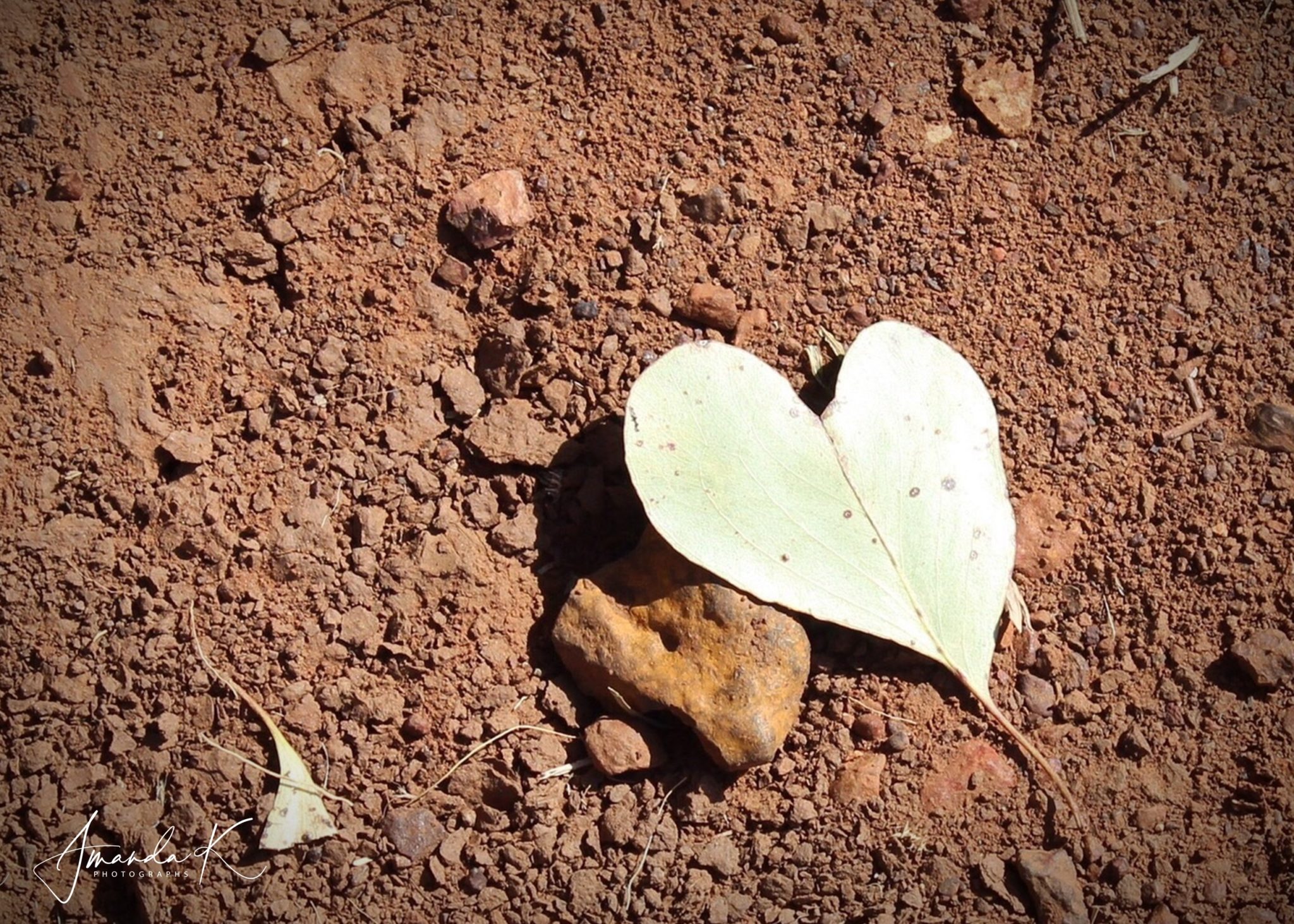 4j 001 Watermark Heart On Red Dirt