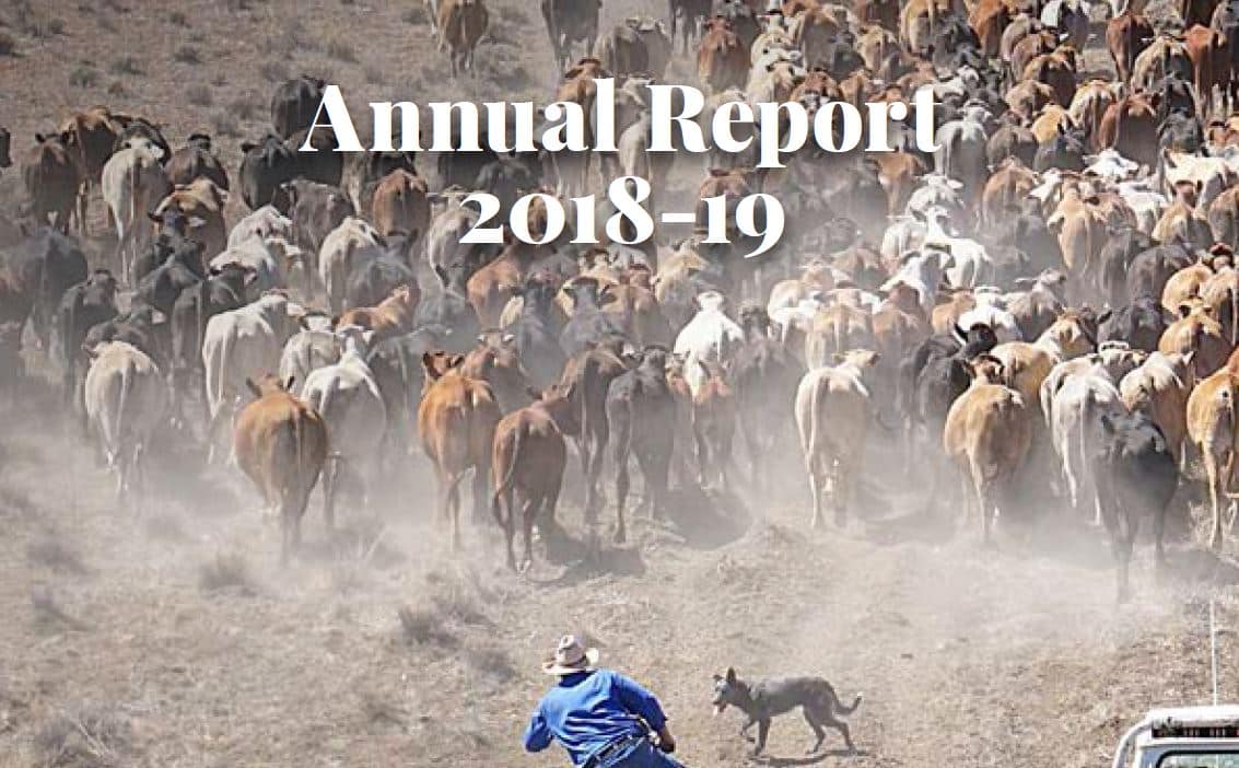 Report2018 2019